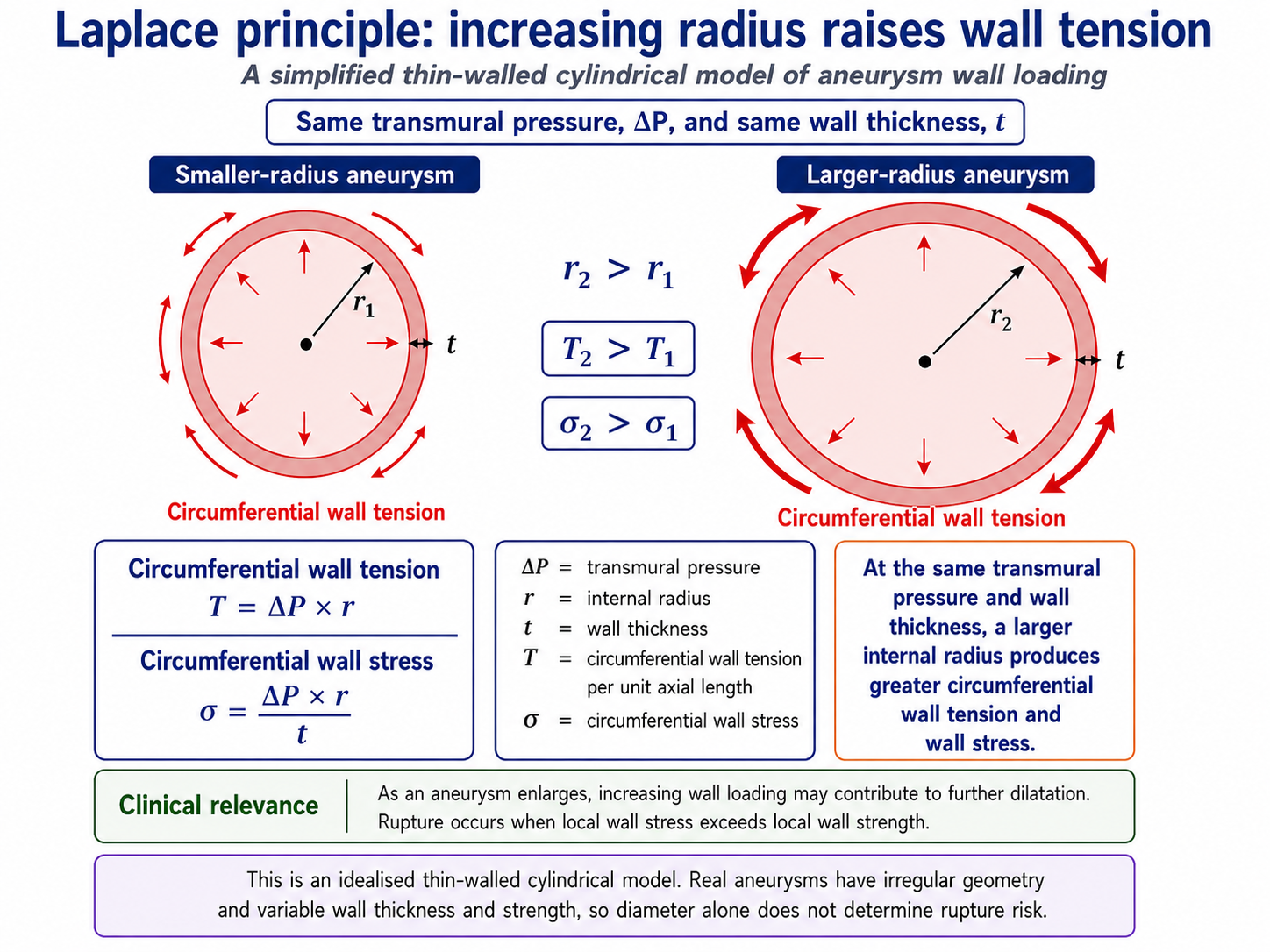 Diagram showing wall tension rising with radius, illustrating why larger aneurysms grow faster and rupture more readily.